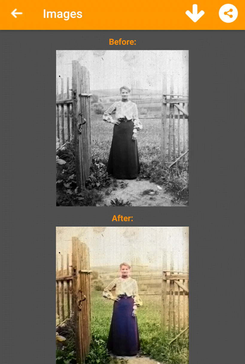 Black and White Photo Colorizer-Chromatix screenshot 2