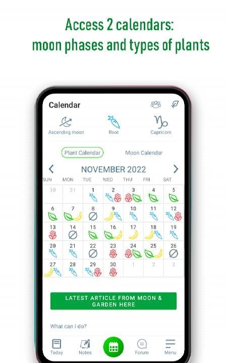 Moon & Garden screenshot 1