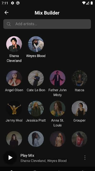 Plexamp screenshot 4