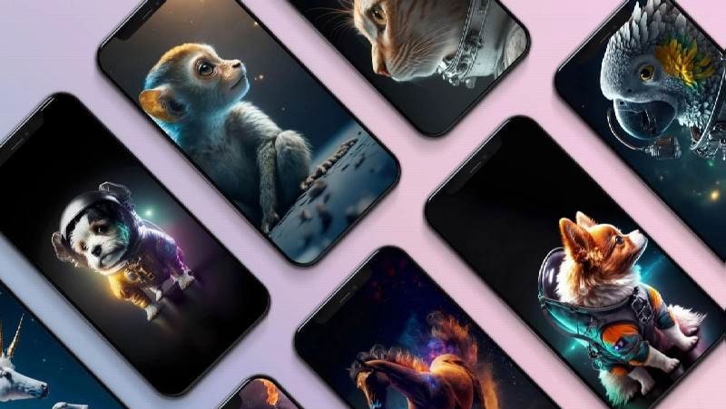 Wonder Walls screenshot 3