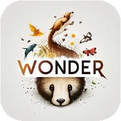 Wonder Walls