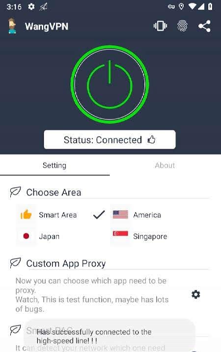 Wang VPN screenshot 2