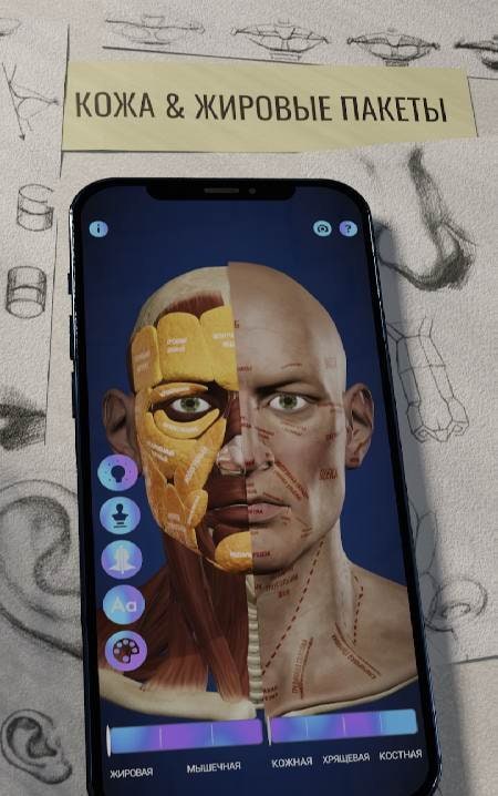 Ecorche: Portrait Anatomy screenshot 1