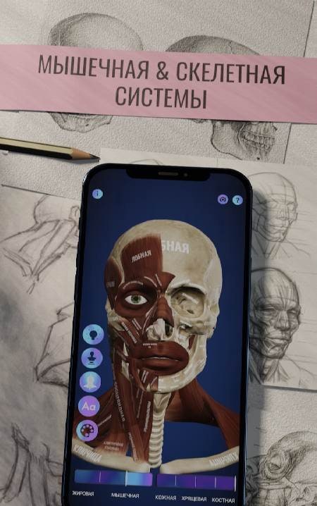 Ecorche: Portrait Anatomy screenshot 2