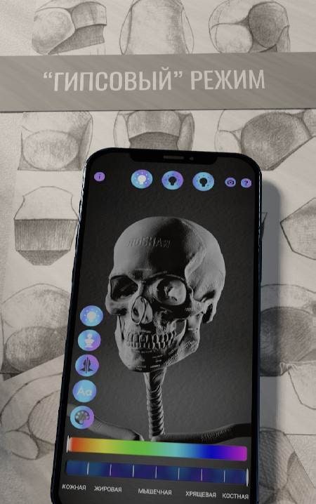 Ecorche: Portrait Anatomy screenshot 4