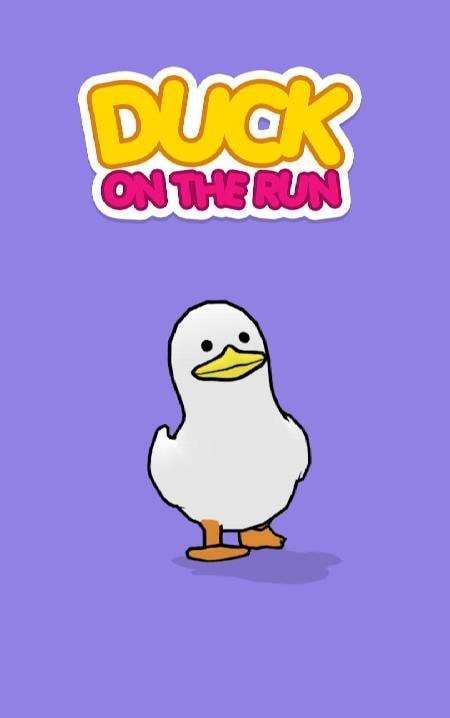 Duck On The Run screenshot 1