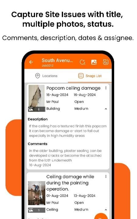 Site Report Expert: Punch List screenshot 3
