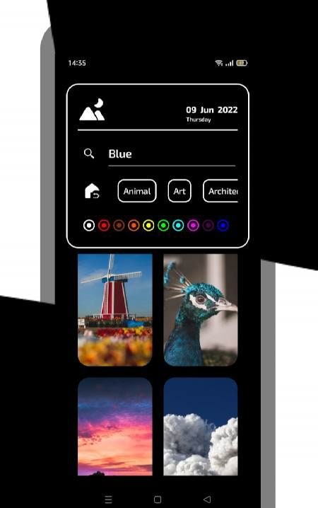 Wallio screenshot 3