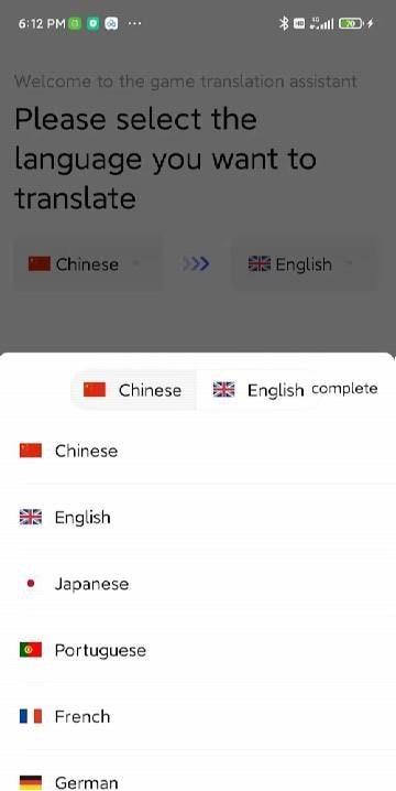 Screen/Game Translation screenshot 1