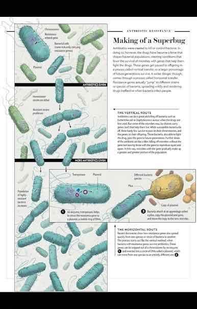 Scientific American screenshot 2