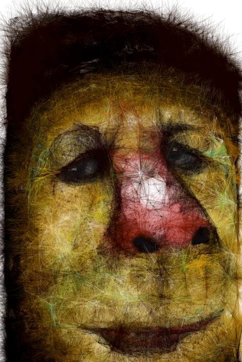 Sketcher PRO Screenshot 1