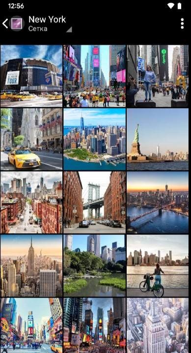Vertical Gallery screenshot 2