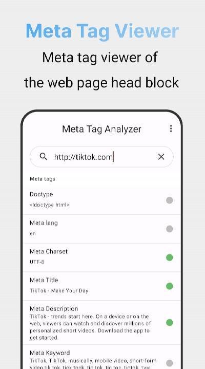 Metatag Analyzer screenshot 1