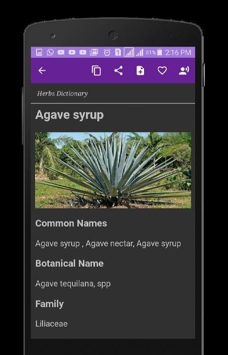 Herbs Dictionary screenshot 4