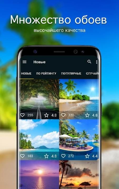 Summer Wallpapers 4K screenshot 1