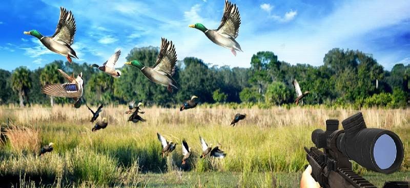 Duck Hunting Challenge screenshot 2