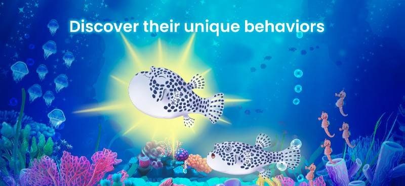 Splash: Fish Sanctuary screenshot 3