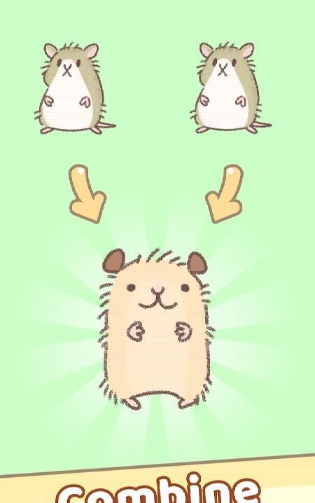 Hamster Race screenshot 1