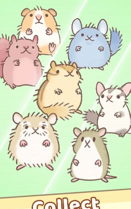 Hamster Race screenshot 3