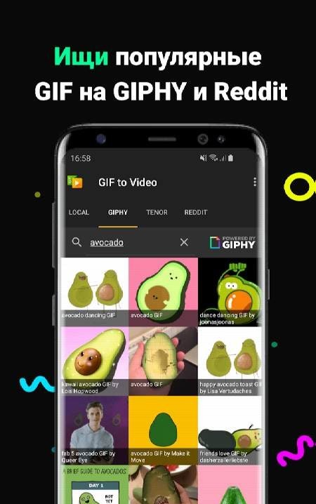 GIF to Video preview 2