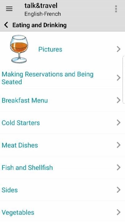 Berlitz talk&travel Phrasebooks screenshot 3
