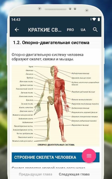 Medical Assistance in Case of an Accident screenshot 4