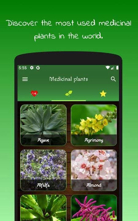 myRemedy: Medicinal plants and their uses image one