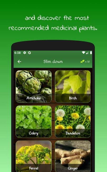 myRemedy: Medicinal plants and their uses image three