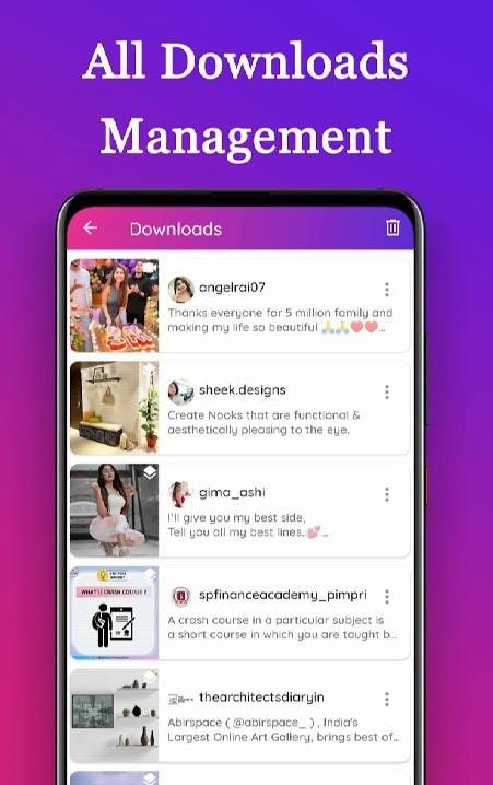 Screenshot showcasing Pro Video Downloader for Instagram's user interface.
