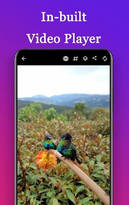 Another view of Pro Video Downloader for Instagram in action.