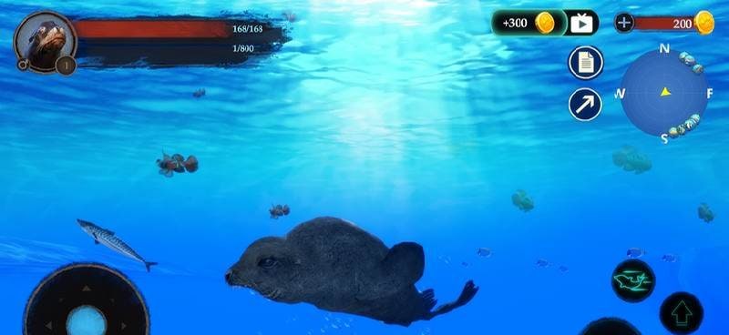 The Sea Lion screenshot 1