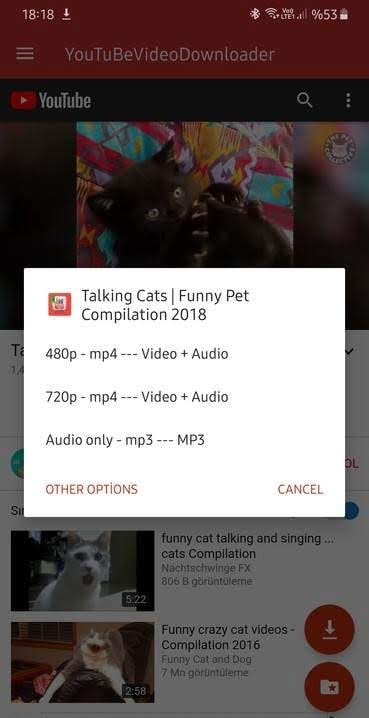 YouTube Video Downloader screenshot 1