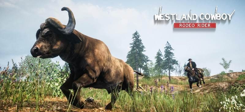Cowboy Rodeo Rider- Wild West Safari screenshot 3