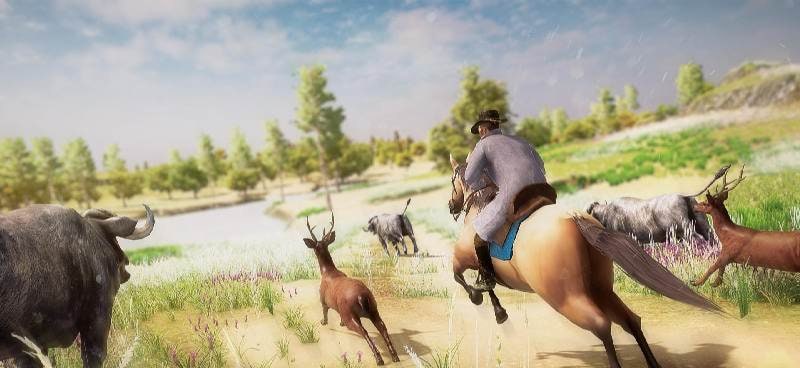 Cowboy Rodeo Rider- Wild West Safari screenshot 2
