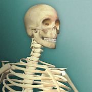 Idle Human 2
