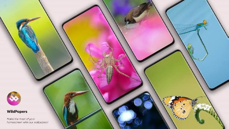 WildPapers - Wildlife Photography Wallpapers screenshot 1