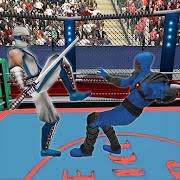 Real Robot Ninja Ring Fight: Fighting Games 2020