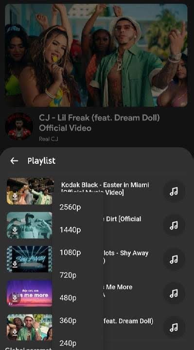 ViShot - Mp3 Downloader screenshot 4