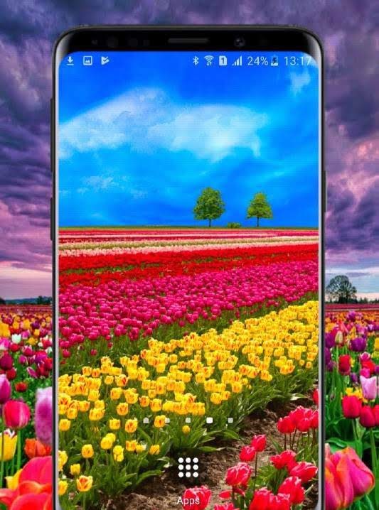 Flower Fields PRO Live Wallpaper screenshot 1