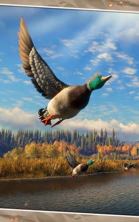 Hunting World: Deer Hunter Sniper Shooting gameplay screenshot 4