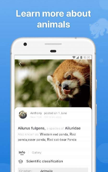 Picture Animal - Animal ID Pro screenshot 3