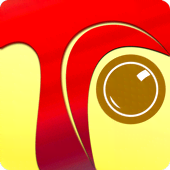Tcamera (Teacher's Camera)