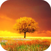 Awesome Land Pro LiveWallpaper