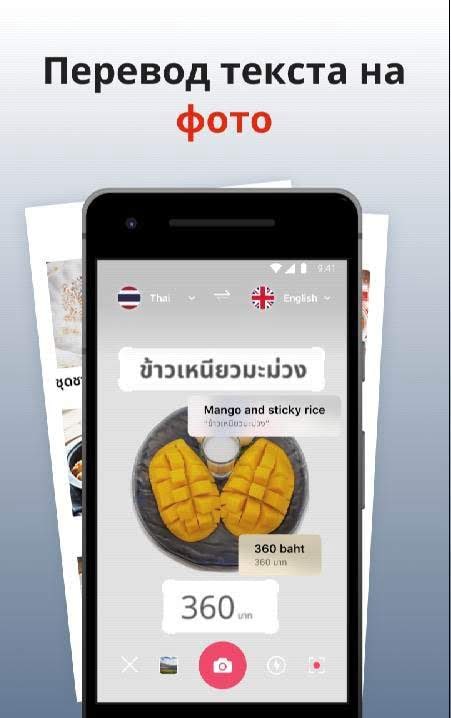 Lingvanex Translator Translate Voice Image Offline screenshot 3