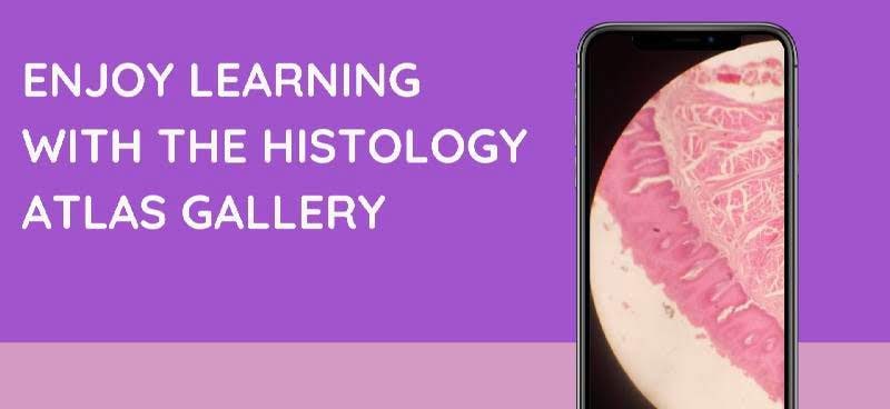 Medics95: Histology And Embryology screenshot 4