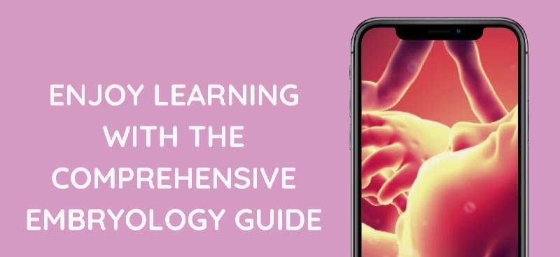 Medics95: Histology And Embryology screenshot 3