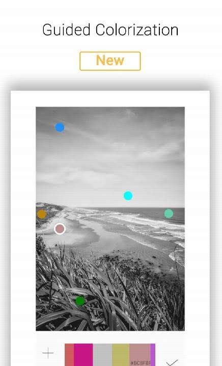 Pholorize: Colorize Your Old Black & White Photos screenshot 2