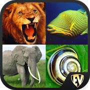 Animal Encyclopedia Complete Reference Guide