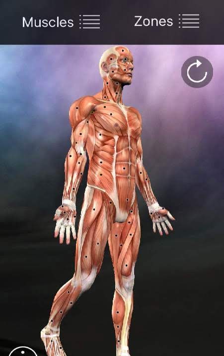 Muscle Trigger Point Anatomy screenshot 1