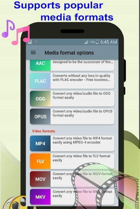 Gold Media Converter Pro screenshot 2